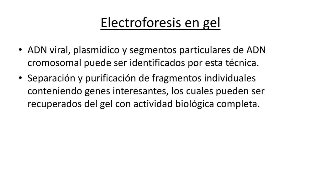 Electroforesis en gel ADN viral, plasmídico y segmentos particulares de ADN cromosomal puede ser identificados por esta técnica.