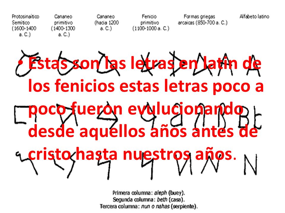 Estas son las letras en latin de los fenicios estas letras poco a poco fueron evulucionando desde aquellos años antes de cristo hasta nuestros años.