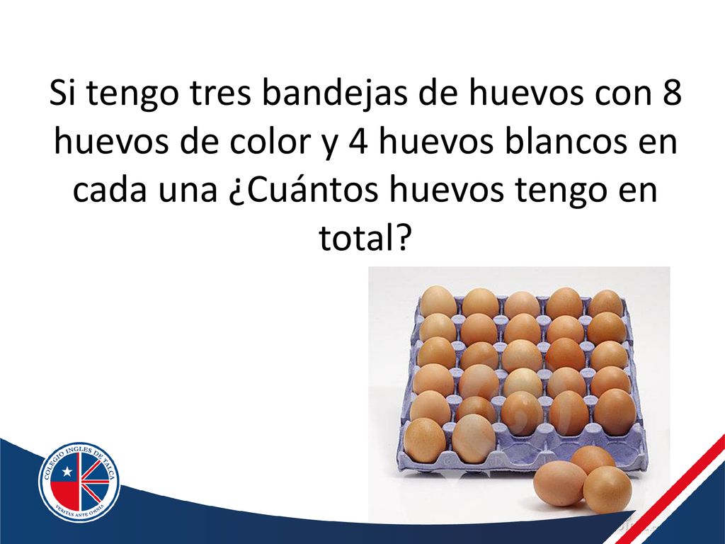 Si tengo tres bandejas de huevos con 8 huevos de color y 4 huevos blancos en cada una ¿Cuántos huevos tengo en total