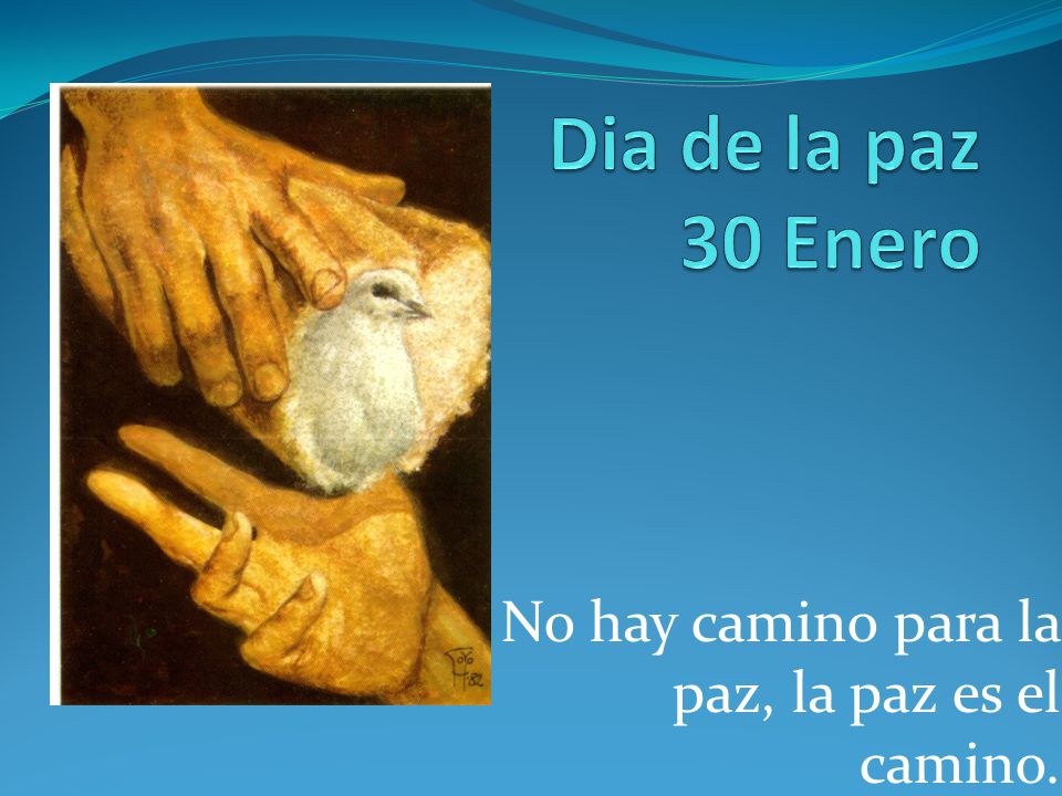No hay camino para la paz, la paz es el camino.