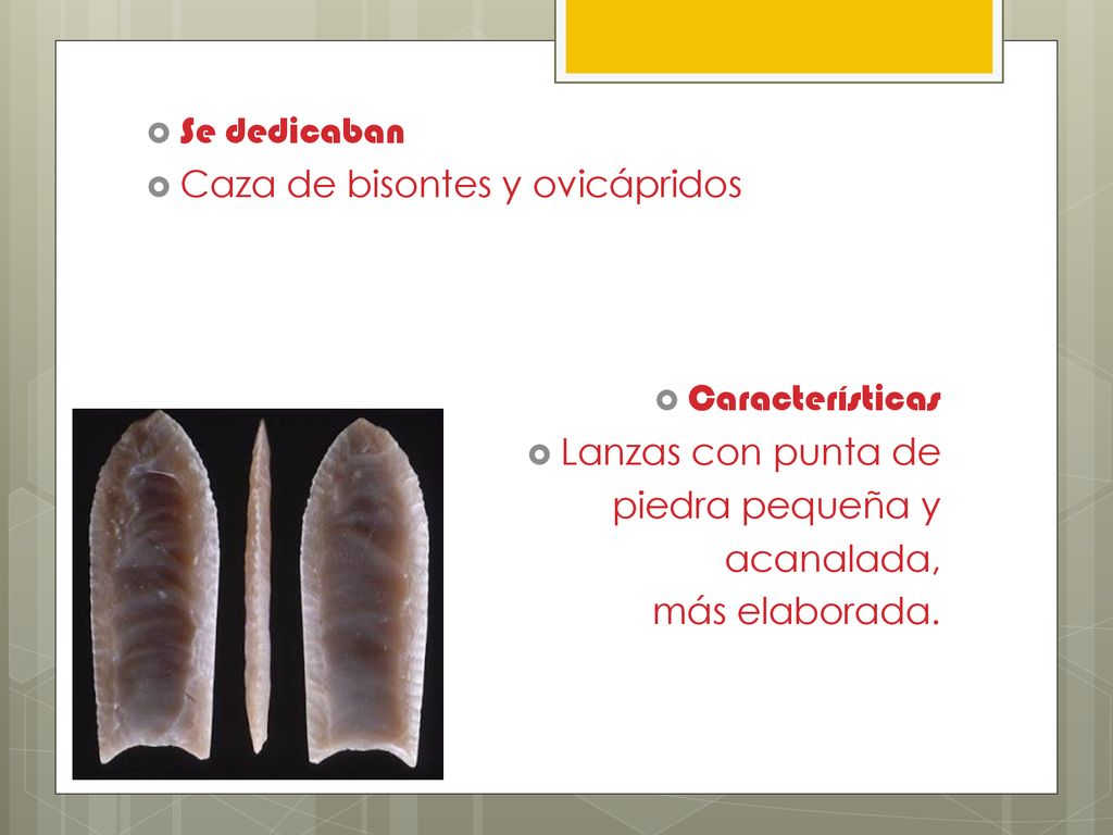 Se dedicaban Caza de bisontes y ovicápridos. Características. Lanzas con punta de. piedra pequeña y.