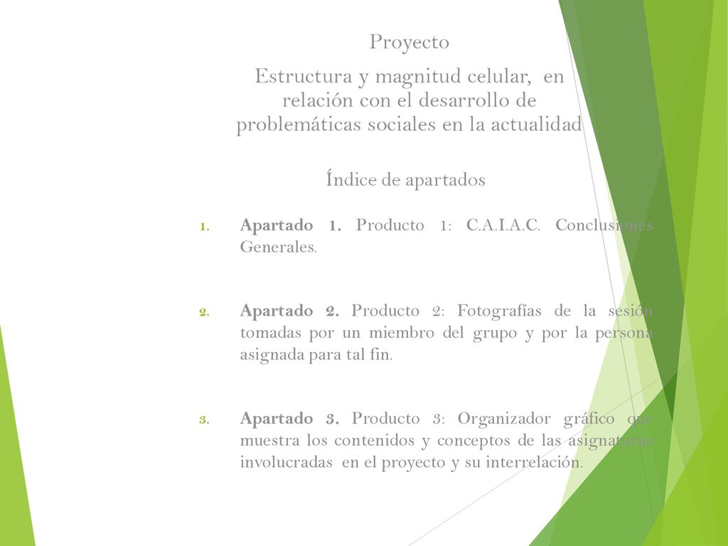 Proyecto Estructura y magnitud celular, en relación con el desarrollo de problemáticas sociales en la actualidad.