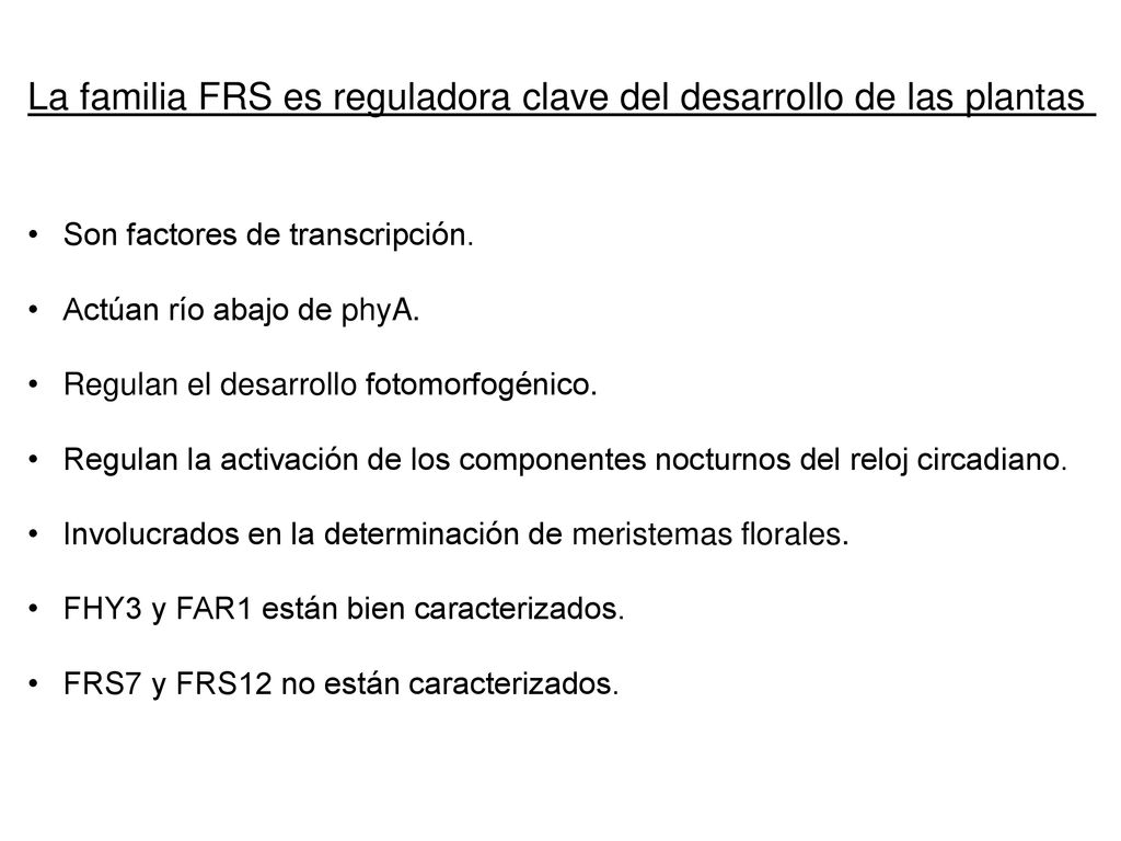 La familia FRS es reguladora clave del desarrollo de las plantas
