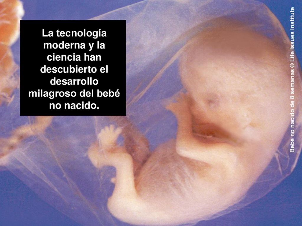 La tecnología moderna y la ciencia han descubierto el desarrollo milagroso del bebé no nacido.