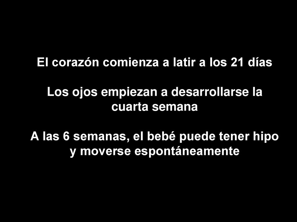 El corazón comienza a latir a los 21 días