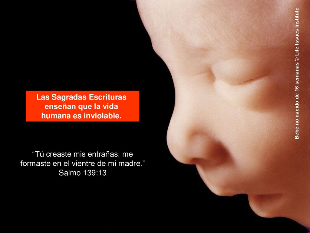 Las Sagradas Escrituras enseñan que la vida humana es inviolable.