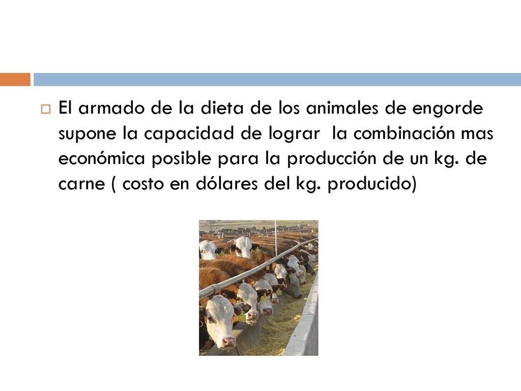 El armado de la dieta de los animales de engorde supone la capacidad de lograr la combinación mas económica posible para la producción de un kg.