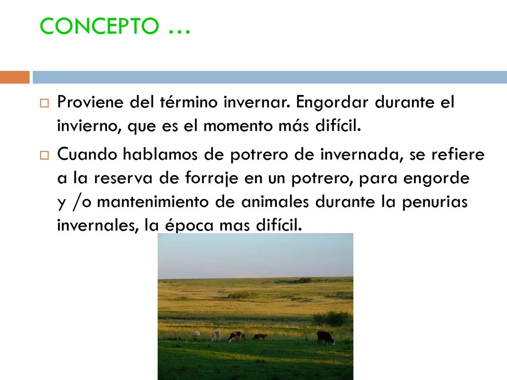 CONCEPTO … Proviene del término invernar. Engordar durante el invierno, que es el momento más difícil.