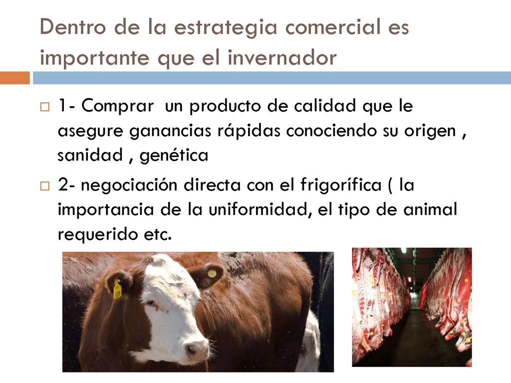 Dentro de la estrategia comercial es importante que el invernador