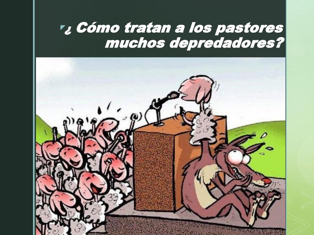 ¿ Cómo tratan a los pastores muchos depredadores