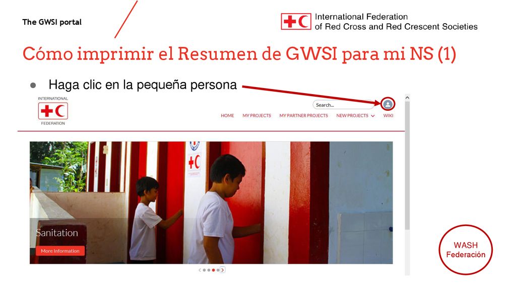 Cómo imprimir el Resumen de GWSI para mi NS (1)