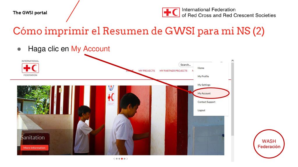 Cómo imprimir el Resumen de GWSI para mi NS (2)