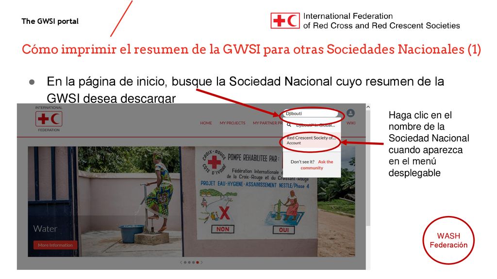 Cómo imprimir el resumen de la GWSI para otras Sociedades Nacionales (1)