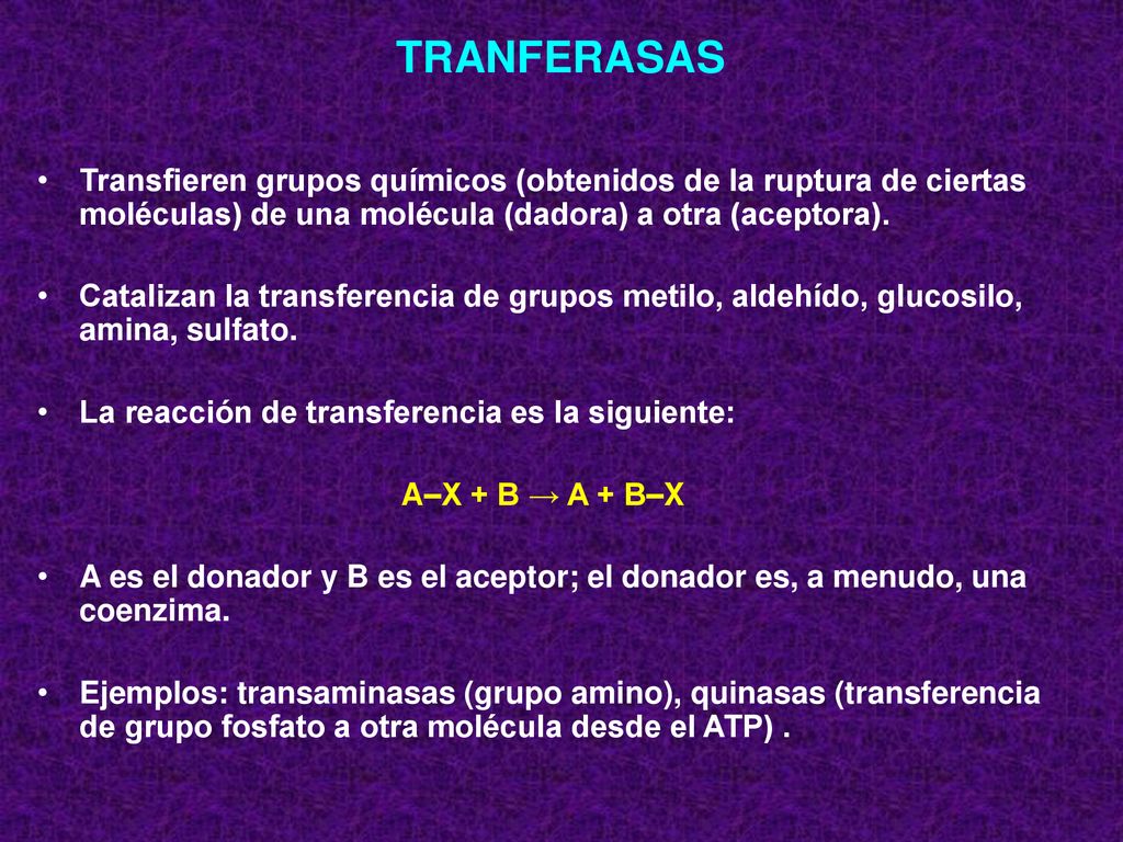 TRANFERASAS Transfieren grupos químicos (obtenidos de la ruptura de ciertas moléculas) de una molécula (dadora) a otra (aceptora).