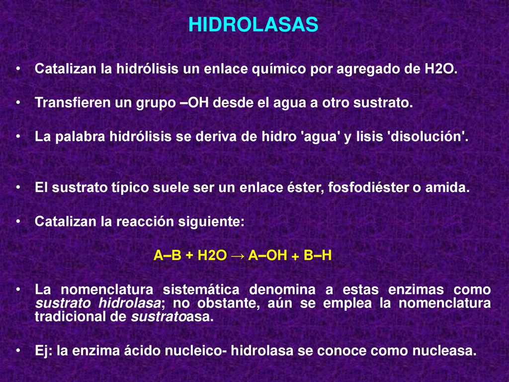 HIDROLASAS Catalizan la hidrólisis un enlace químico por agregado de H2O. Transfieren un grupo –OH desde el agua a otro sustrato.