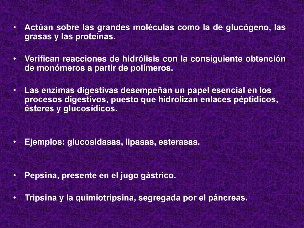 Actúan sobre las grandes moléculas como la de glucógeno, las grasas y las proteínas.