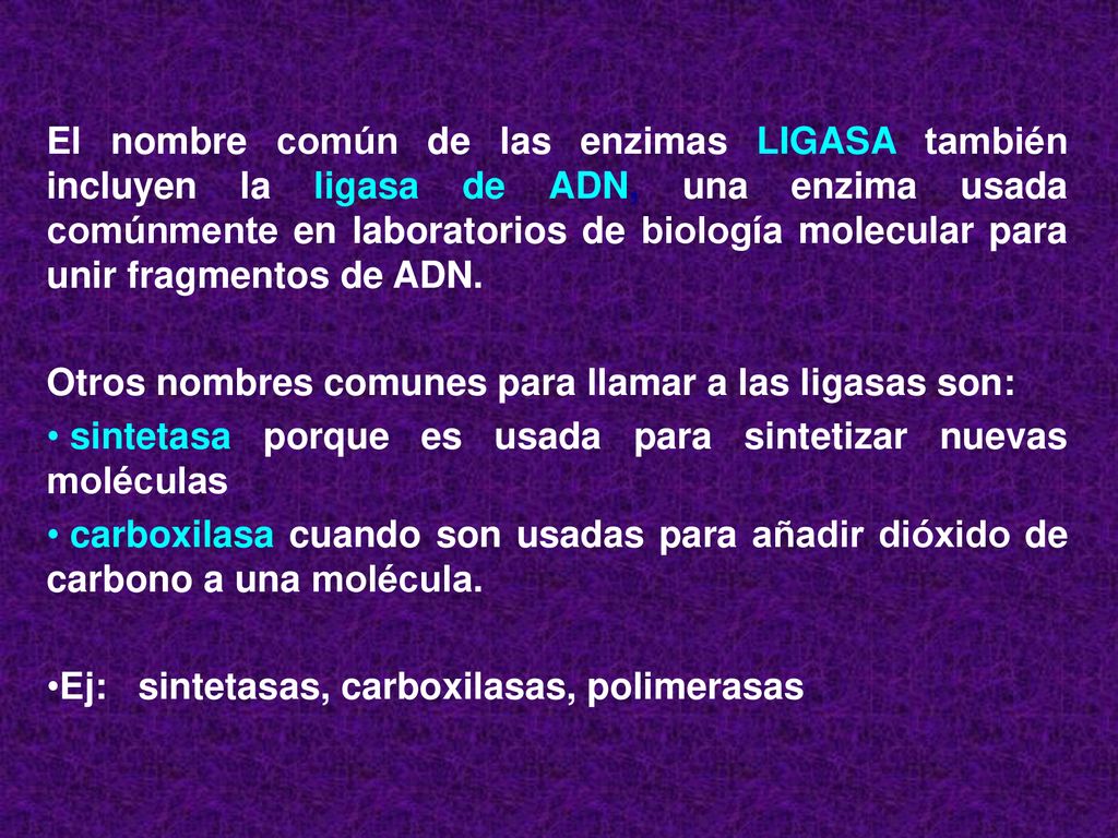 El nombre común de las enzimas LIGASA también incluyen la ligasa de ADN, una enzima usada comúnmente en laboratorios de biología molecular para unir fragmentos de ADN.