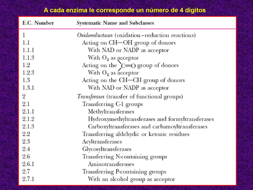 A cada enzima le corresponde un número de 4 digitos