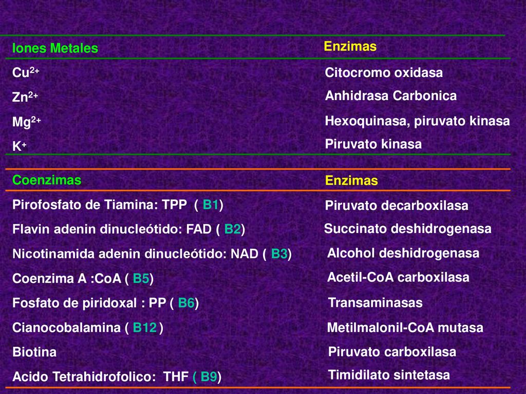 Iones Metales Enzimas. Cu2+ Citocromo oxidasa. Zn2+ Anhidrasa Carbonica. Mg2+ Hexoquinasa, piruvato kinasa.