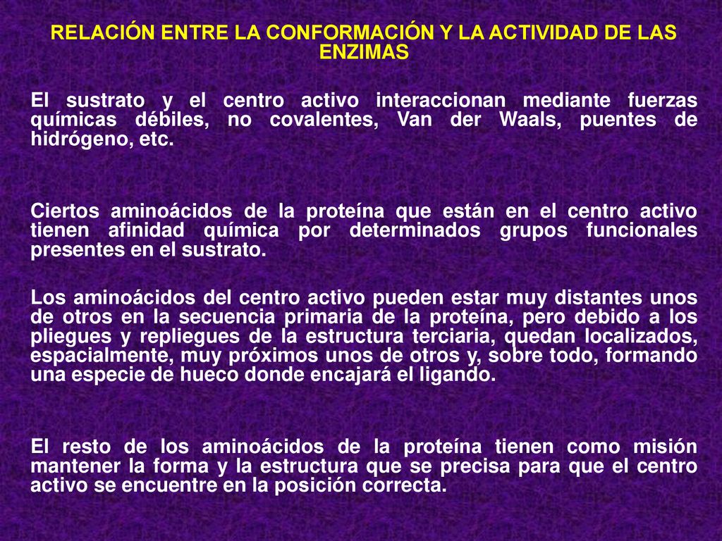 RELACIÓN ENTRE LA CONFORMACIÓN Y LA ACTIVIDAD DE LAS ENZIMAS