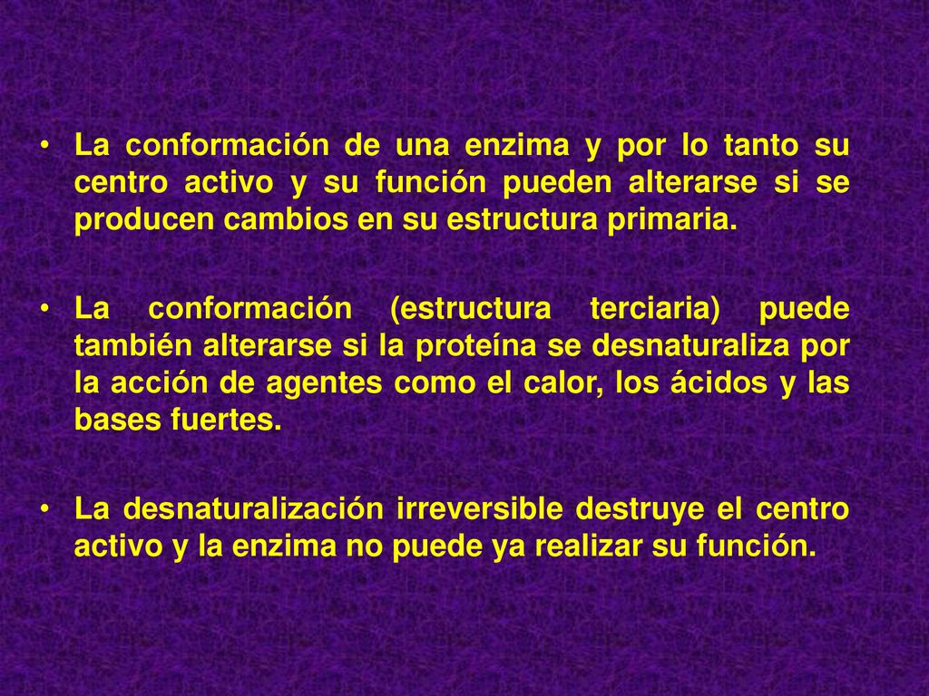 La conformación de una enzima y por lo tanto su centro activo y su función pueden alterarse si se producen cambios en su estructura primaria.
