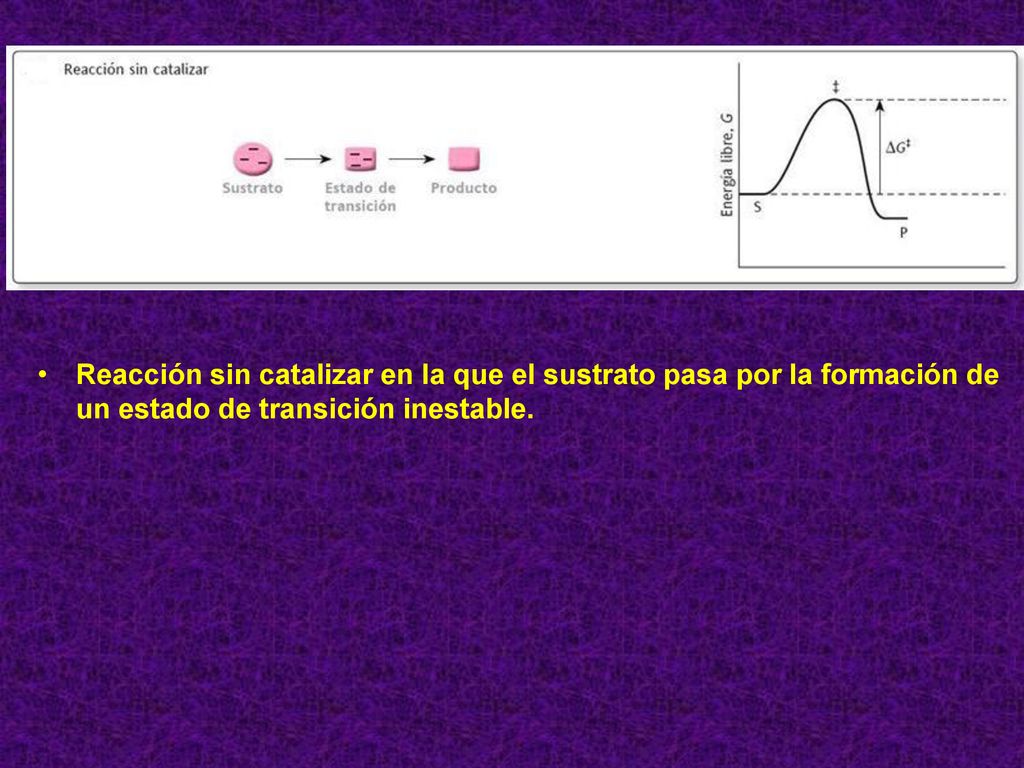 Reacción sin catalizar en la que el sustrato pasa por la formación de un estado de transición inestable.