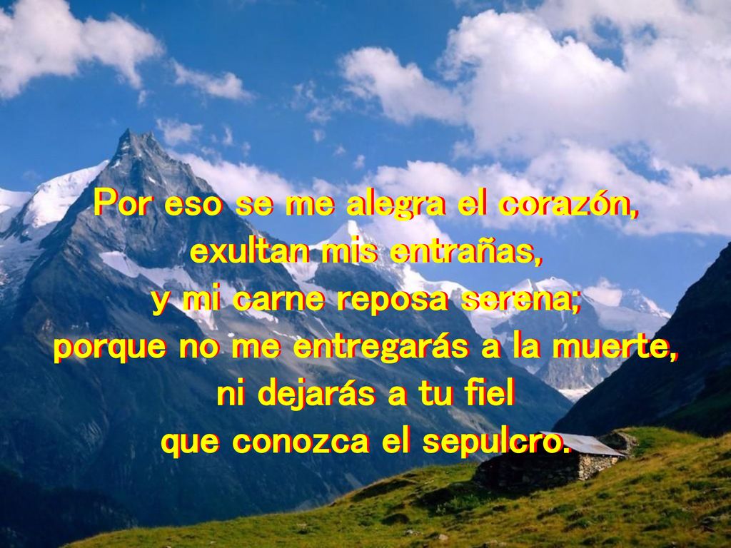 Por eso se me alegra el corazón, exultan mis entrañas,