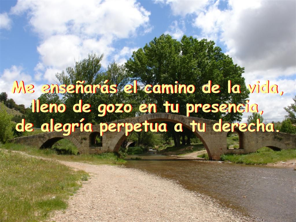 Me enseñarás el camino de la vida, lleno de gozo en tu presencia,
