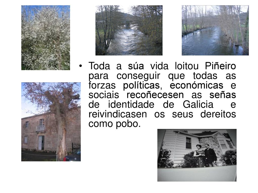 Toda a súa vida loitou Piñeiro para conseguir que todas as forzas políticas, económicas e sociais recoñecesen as señas de identidade de Galicia e reivindicasen os seus dereitos como pobo.