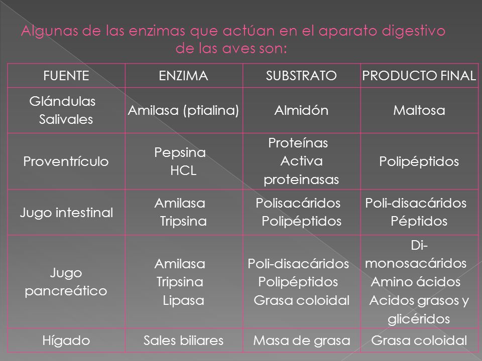 Algunas de las enzimas que actúan en el aparato digestivo de las aves son: