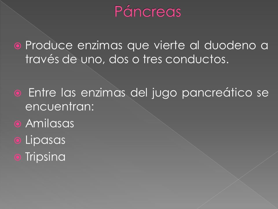 Páncreas Produce enzimas que vierte al duodeno a través de uno, dos o tres conductos. Entre las enzimas del jugo pancreático se encuentran: