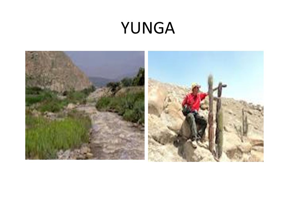 YUNGA