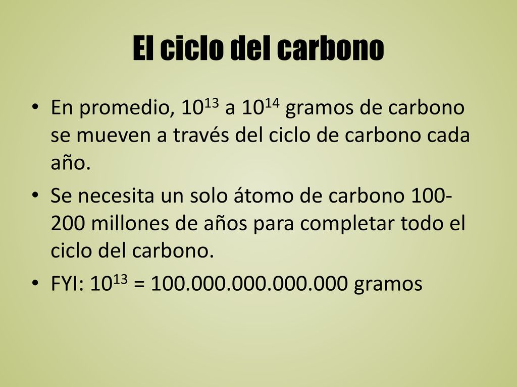 El ciclo del carbono En promedio, 1013 a 1014 gramos de carbono se mueven a través del ciclo de carbono cada año.