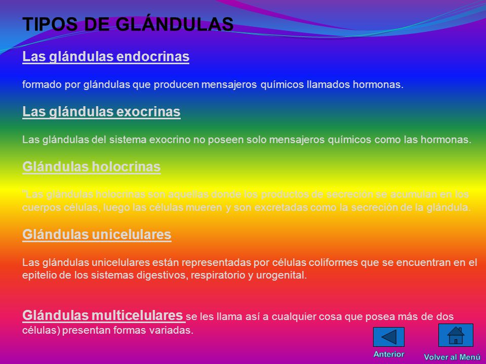 TIPOS DE GLÁNDULAS Las glándulas endocrinas formado por glándulas que producen mensajeros químicos llamados hormonas.