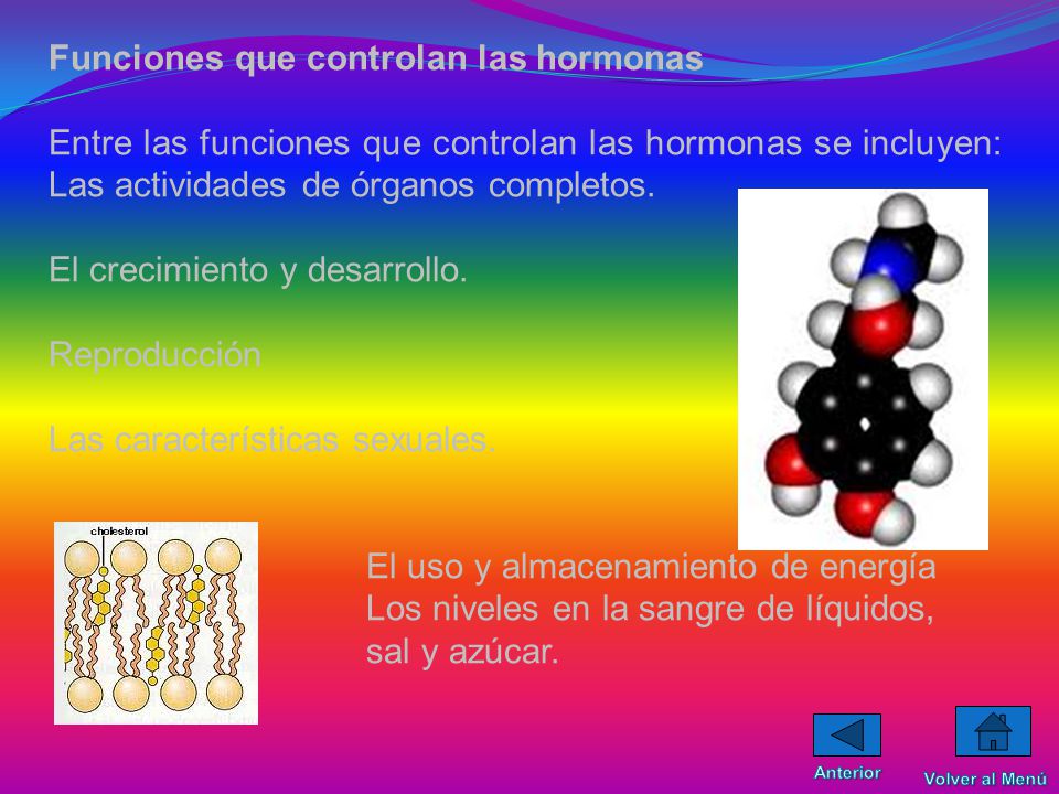 Funciones que controlan las hormonas
