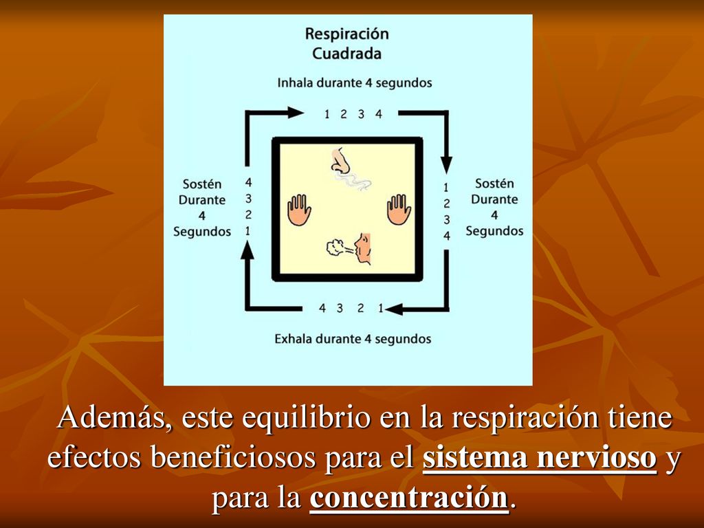 Además, este equilibrio en la respiración tiene efectos beneficiosos para el sistema nervioso y para la concentración.