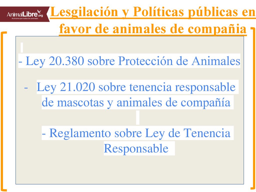 Lesgilación y Políticas públicas en favor de animales de compañia