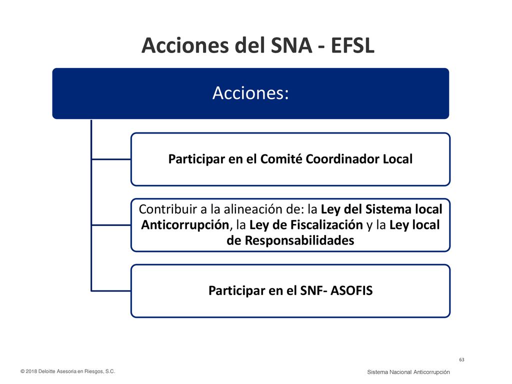 Participar en el Comité Coordinador Local Participar en el SNF- ASOFIS