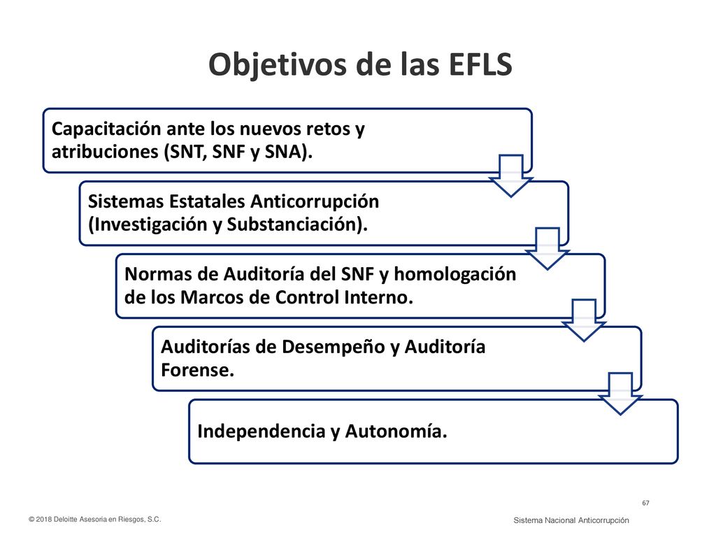 Objetivos de las EFLS Capacitación ante los nuevos retos y atribuciones (SNT, SNF y SNA).
