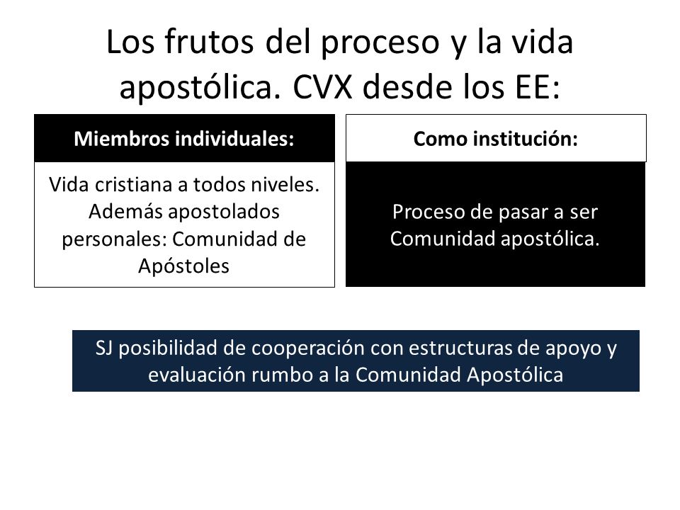 Los frutos del proceso y la vida apostólica. CVX desde los EE: