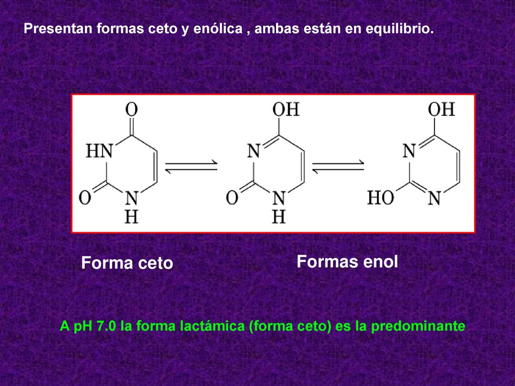 Presentan formas ceto y enólica , ambas están en equilibrio.