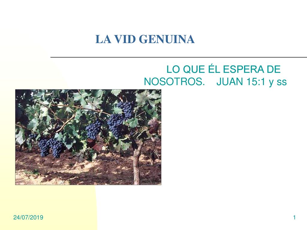 LO QUE ÉL ESPERA DE NOSOTROS. JUAN 15:1 y ss