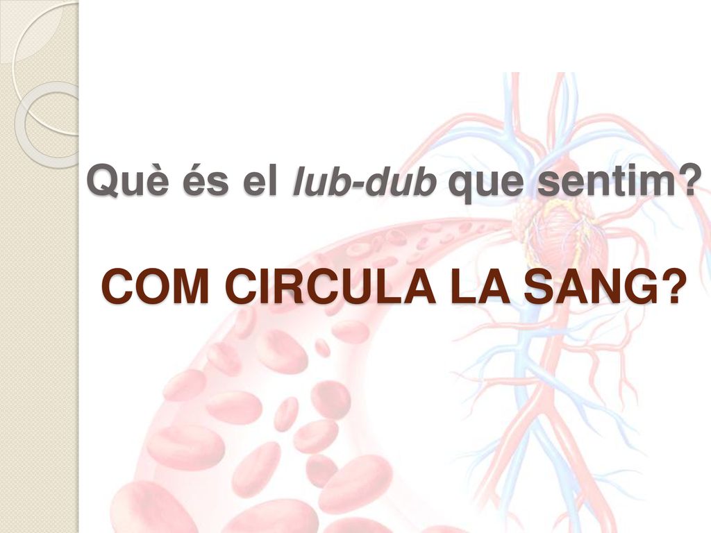 Què és el lub-dub que sentim COM CIRCULA LA SANG