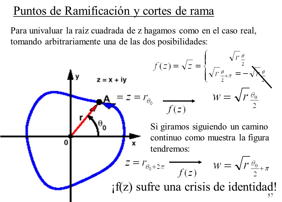Puntos de Ramificación y cortes de rama