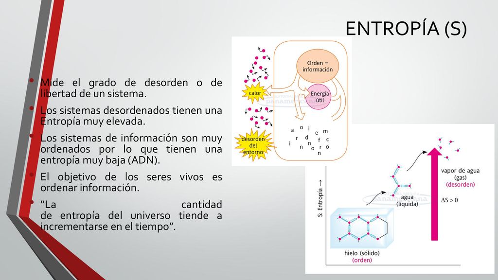 ENTROPÍA (S) Mide el grado de desorden o de libertad de un sistema.