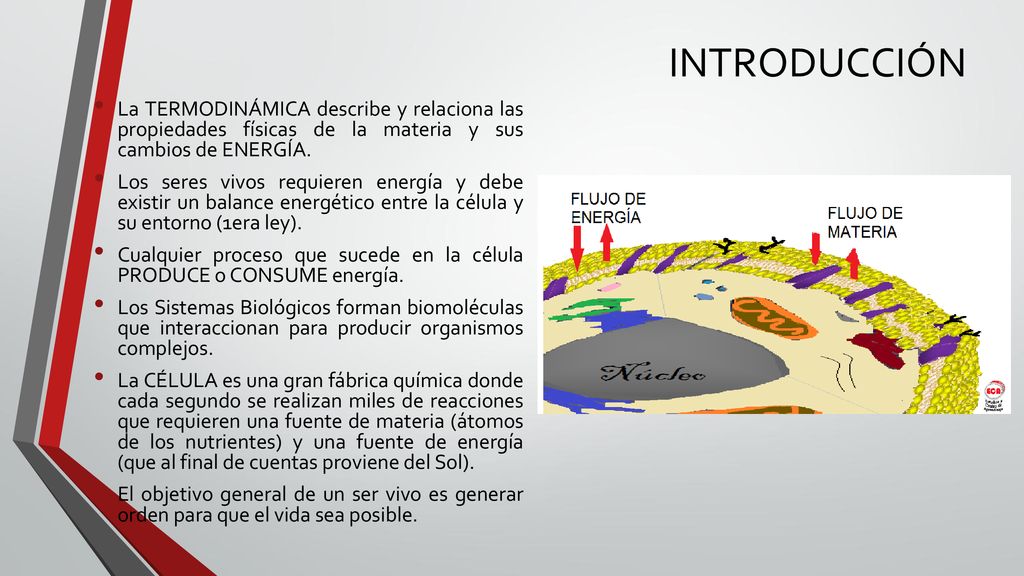 INTRODUCCIÓN La TERMODINÁMICA describe y relaciona las propiedades físicas de la materia y sus cambios de ENERGÍA.