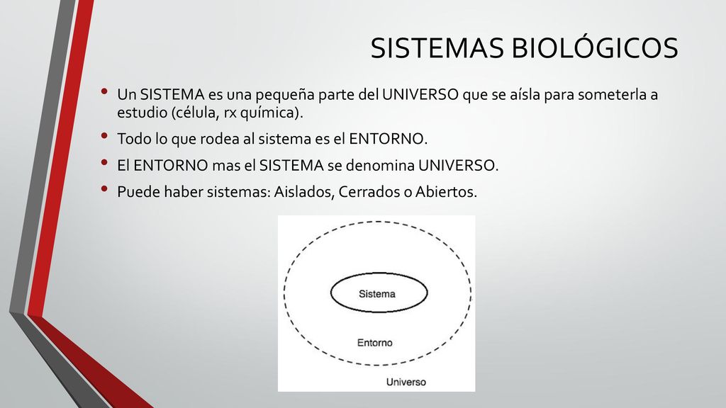 SISTEMAS BIOLÓGICOS Un SISTEMA es una pequeña parte del UNIVERSO que se aísla para someterla a estudio (célula, rx química).