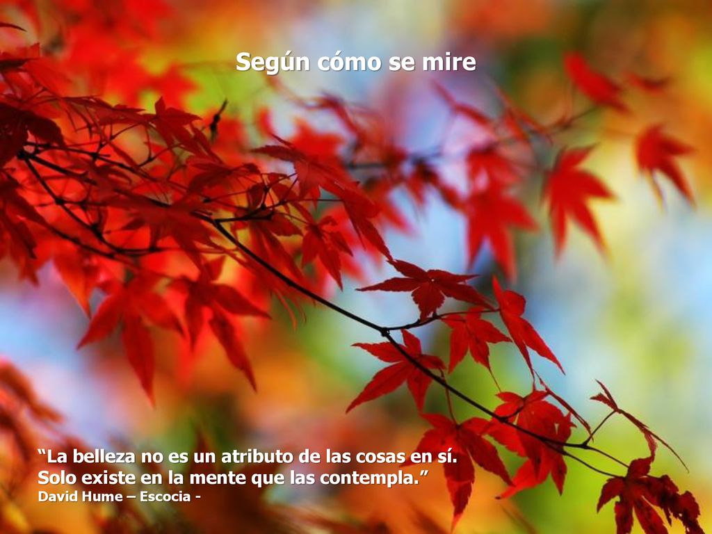 Según cómo se mire La belleza no es un atributo de las cosas en sí.