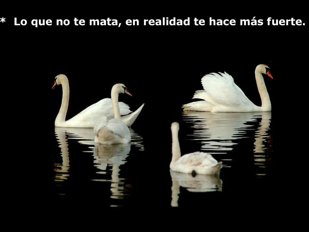* Lo que no te mata, en realidad te hace más fuerte.