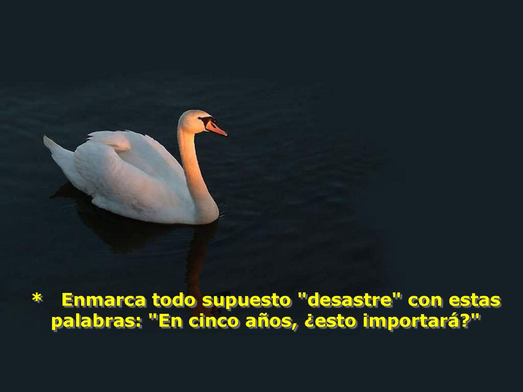* Enmarca todo supuesto desastre con estas palabras: En cinco años, ¿esto importará
